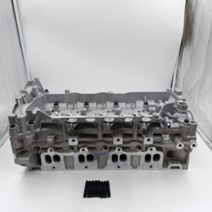 ГБЦ Renault Master III 2.3,Megane 2.0,Trafic II 2.0, Opel Movano 2.3 (двиг. M9R/M9T)(БЕЗ клапанов)TZ