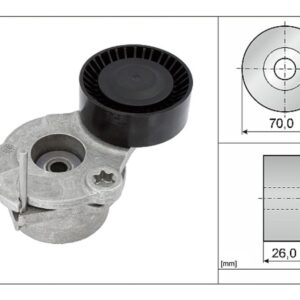 Ролик генератора VAG Audi,Seat,Skoda,Volkswagen (натяжной) 3.0 TDI INA EUROPE
