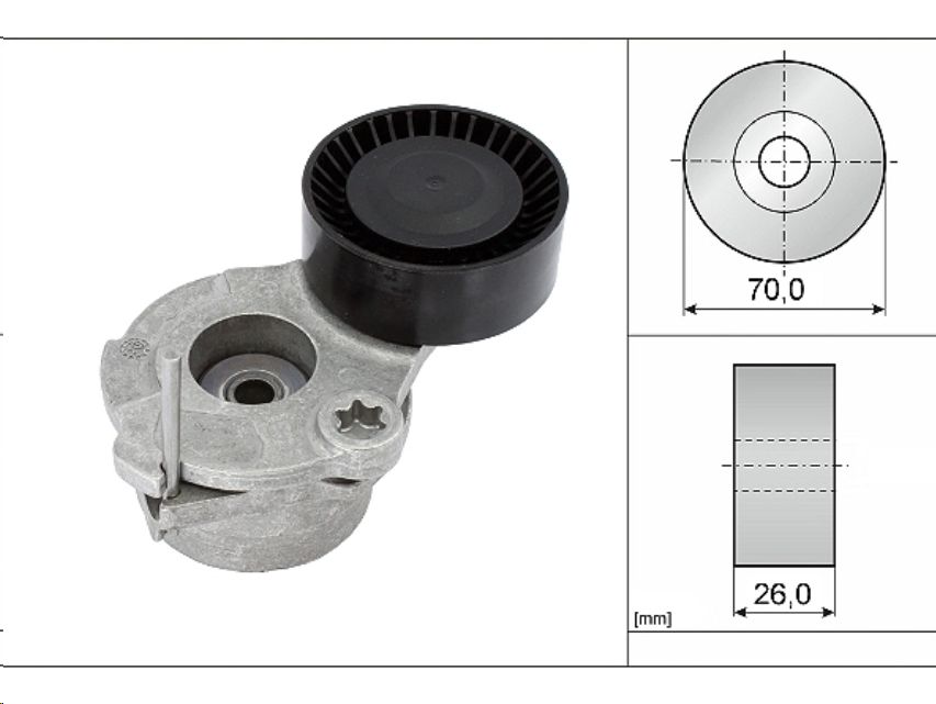 Ролик генератора VAG Audi,Seat,Skoda,Volkswagen (натяжной) 3.0 TDI INA EUROPE - Миниатюра товара 1