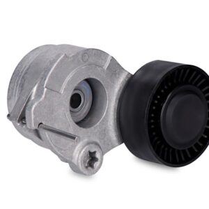 Ролик генератора VAG Audi,Seat,Skoda,Volkswagen (натяжной) 3.0 TDI (c 2011-2016г.) INA EUROPE