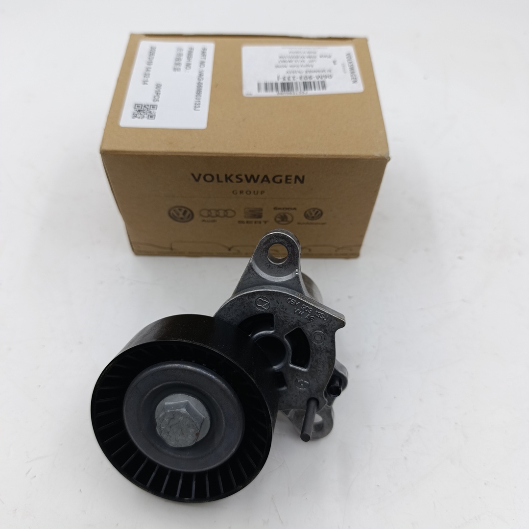 Ролик генератора VAG Audi RS4 (натяжной) 2.9 (ORIGINAL VAG) - Миниатюра товара 1