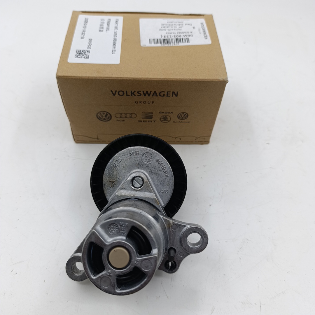 Ролик генератора VAG Audi RS4 (натяжной) 2.9 (ORIGINAL VAG) - Миниатюра товара 2