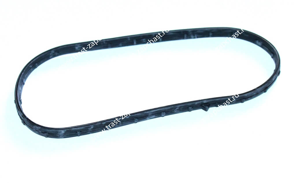 Прокладка зад крышки распредвалов Ducato 2.3JTD RUS(250) 06- 504380138/504016458 ORG IVECO