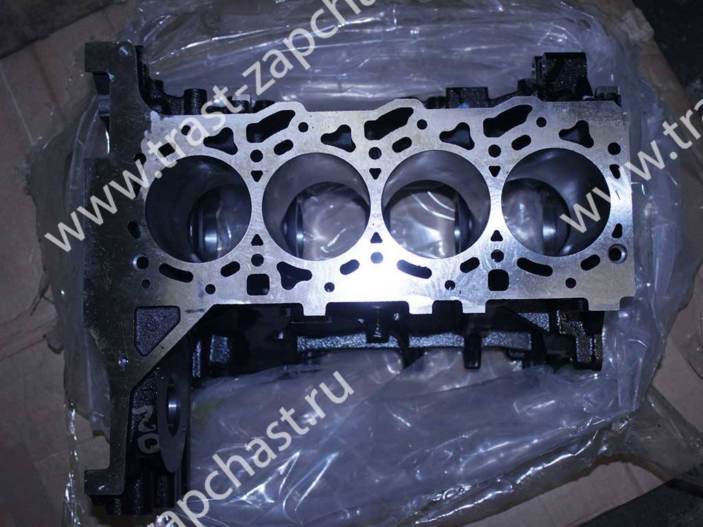 Блок цилиндров Ford Tranzit 2.4 RWD 115-140 л.с.(ПУСТОЙ) RM6C1Q6011EC/6C1Q6011EB/1749284/1376421 JMC - Миниатюра товара 1