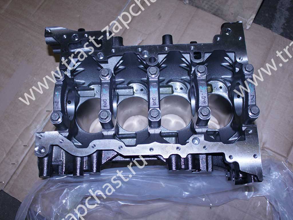 Блок цилиндров Ford Tranzit 2.4 RWD 115-140 л.с.(ПУСТОЙ) RM6C1Q6011EC/6C1Q6011EB/1749284/1376421 JMC - Миниатюра товара 5