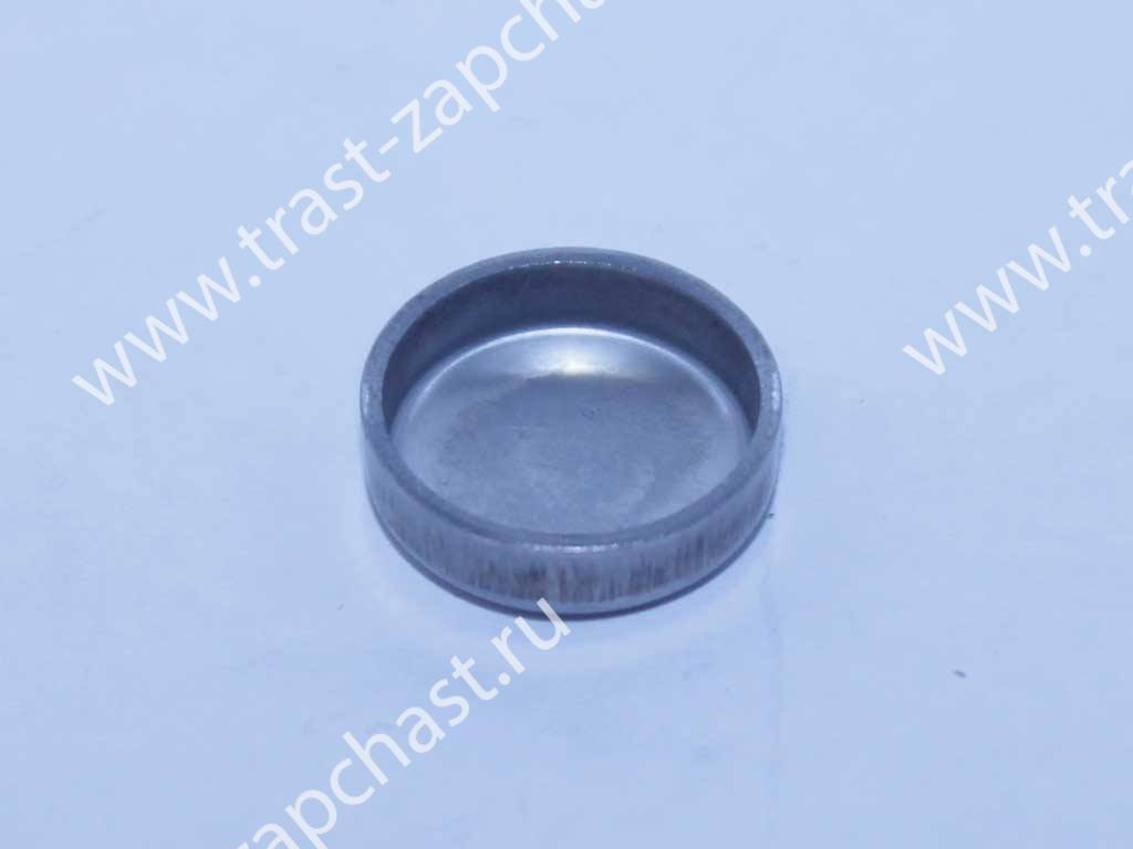 Заглушка блока М18 мм 2,2-2,4 (со стороны ГРМ) W528005S446/1470854 JMC - Миниатюра товара 1