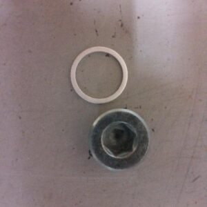 Пробка масляного поддона Fiat/Iveco 2.3-3.0 4894139/16993411 GNG