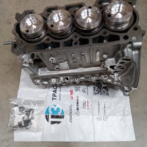 Блок цилиндров 1,6 Peugeot Partner/Expert/Citroen Berlingo/Jumpy (цилиндр+поршня,без коленвала) PSA