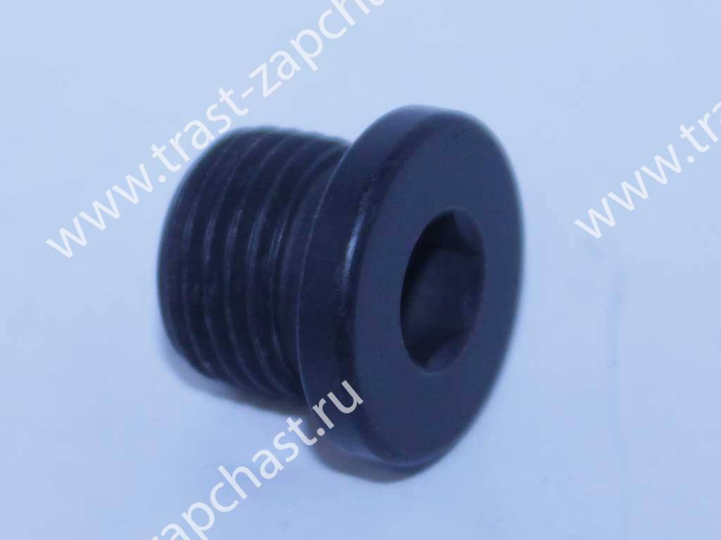 Пробка слива масла КПП МТ82 W701065S303/6732263 JMC - Миниатюра товара 1