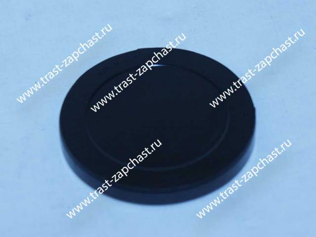 Заглушка КПП МТ82 (ТТ9, TR > 14) 4C1R7665BA/1311152 SKT - Миниатюра товара 1