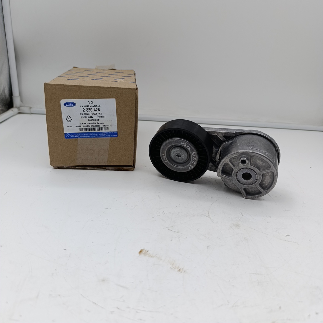 Ролик генератора Ford Custom 2.0 2012- (EcoBlue) (натяжной)  OTOCAH - Миниатюра товара 1