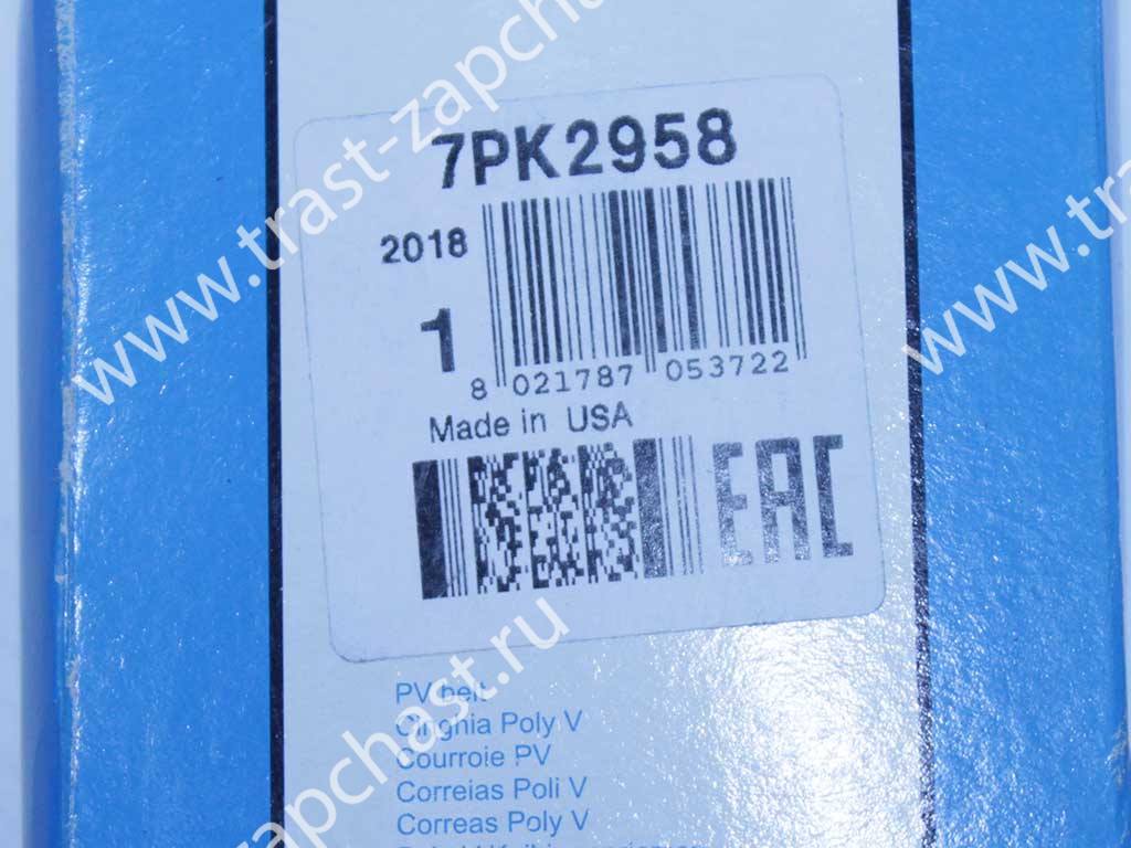Ремень генератора Ford Transit 2.2 RWD (задний привод, без конд) CC1Q6C301GA/1750992  DAYCO - Миниатюра товара 2