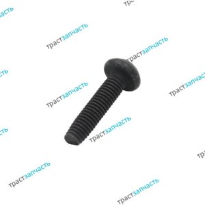 Болт крепления РЦС M6 x 25MM W504756S303/1730073 JMC