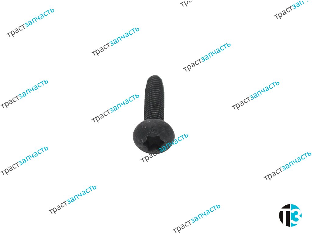 Болт крепления РЦС M6 x 25MM W504756S303/1730073 JMC - Миниатюра товара 2