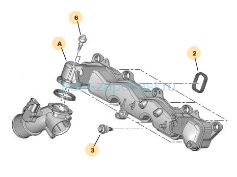 Коллектор впускной Ford Transit, Peugeot Boxer 2.2 (Евро-4, передний привод) - Миниатюра товара 1