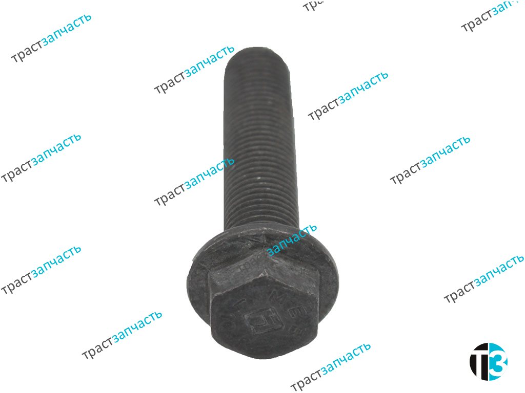 Болт крепления маховика  Iveco Daily 2.3-3.0 (М12*1.25 -8 шт) ORG IVECO - Миниатюра товара 1