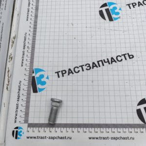 Шпилька колесная передняя TR > 06-14 (M14x39 шаг 2мм) W711019S439/1370439 GNG